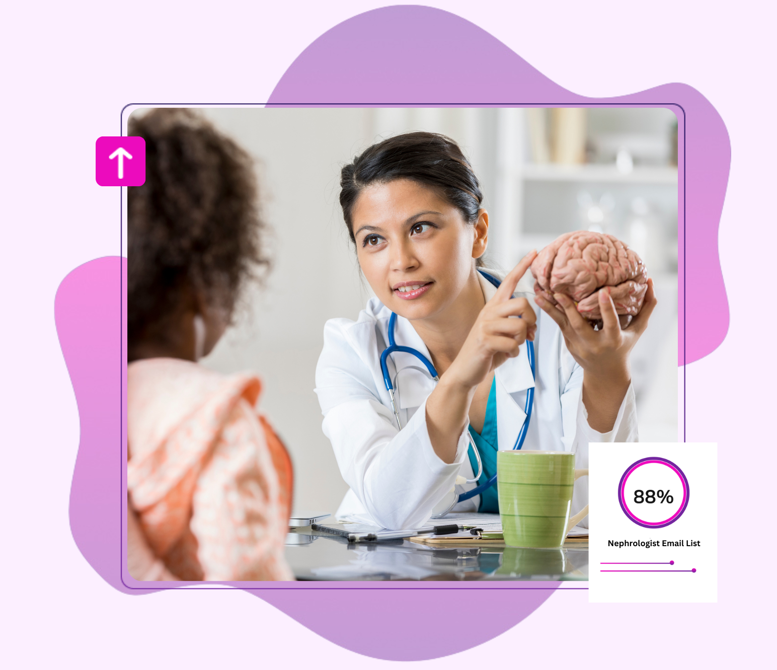 Verified email list of nephrologists specializing in kidney care and treatment